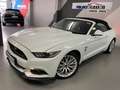 Ford Mustang Convertible 5.0 Ti-VCT GT Aut. Bianco - thumbnail 7