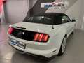 Ford Mustang Convertible 5.0 Ti-VCT GT Aut. Blanco - thumbnail 1