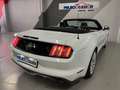 Ford Mustang Convertible 5.0 Ti-VCT GT Aut. Blanc - thumbnail 2