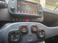Fiat New Panda Panda Cross 1.0 hybrid s&s 70cv 5posti Roşu - thumbnail 13
