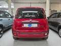 Fiat New Panda Panda Cross 1.0 hybrid s&s 70cv 5posti Roşu - thumbnail 5