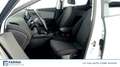 SEAT Leon 2.0 TDI 150 CV DSG Business Bianco - thumbnail 6