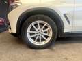 BMW X3 xDrive20d Business Advantage Bianco - thumbnail 13