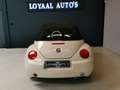 Volkswagen New Beetle Cabriolet 2.0 | LEDER | STOEL.VERW | APK. Geel - thumbnail 9