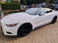 Ford Mustang Mustang 2.3 EcoBoost Wit - thumbnail 7