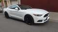 Ford Mustang Mustang 2.3 EcoBoost Wit - thumbnail 8