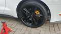 Ford Mustang Mustang 2.3 EcoBoost Wit - thumbnail 2