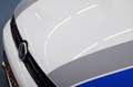 Volkswagen Polo R WRC 2.0 TSI GTI Blanc - thumbnail 18
