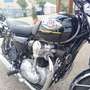 Kawasaki W 800 Golden Black / Ebony - thumbnail 9
