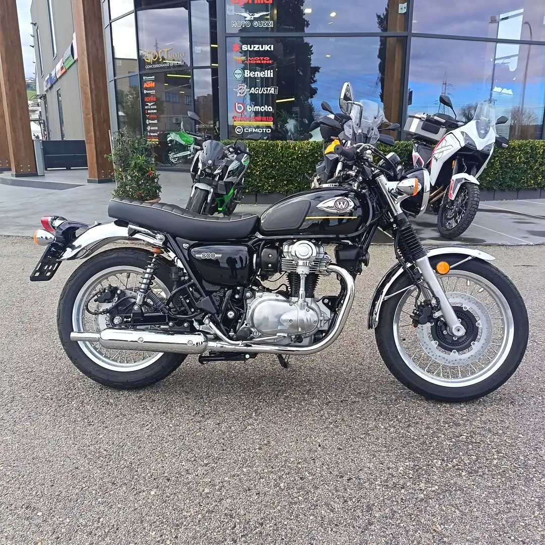Kawasaki W 800 Golden Black / Ebony - 2
