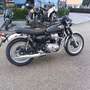 Kawasaki W 800 Golden Black / Ebony - thumbnail 5