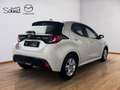 Mazda 2 Mazda 2 Hybrid Agile Aut. Blanc - thumbnail 14