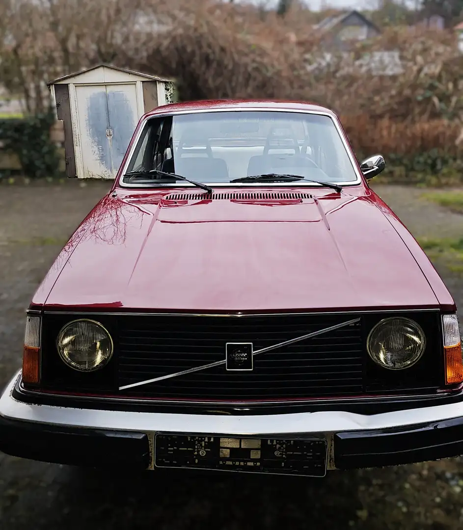 Volvo 244 DL Rot - 1