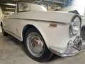 Fiat 1500 S Osca Cabrio Weiß - thumbnail 5