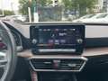 SEAT Leon Sportstourer 2.0 TDI DSG Xcellence LED ACC Rosso - thumbnail 13