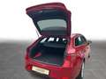 SEAT Leon Sportstourer 2.0 TDI DSG Xcellence LED ACC Rosso - thumbnail 8