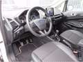 Ford EcoSport 1.0 EcoBoost 125 CV Start&Stop Titanium Bianco - thumbnail 11