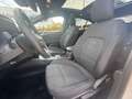 Ford Focus 1.5 EcoBoost Active X Business | Automaat | Panora Wit - thumbnail 21