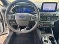 Ford Focus 1.5 EcoBoost Active X Business | Automaat | Panora Wit - thumbnail 12
