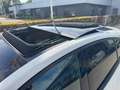 Ford Focus 1.5 EcoBoost Active X Business | Automaat | Panora Wit - thumbnail 27