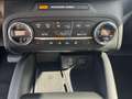 Ford Focus 1.5 EcoBoost Active X Business | Automaat | Panora Wit - thumbnail 19