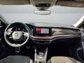Skoda Octavia Combi Scout 2.0 TDI 4x4 Matrix AHK HeadU Schwarz - thumbnail 8