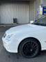 Mercedes-Benz CLK 320 Coupe Elegance - thumbnail 6