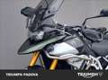 Triumph Tiger 900 Rally Pro Vert - thumbnail 10