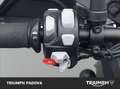 Triumph Tiger 900 Rally Pro Vert - thumbnail 12
