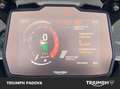 Triumph Tiger 900 Rally Pro Vert - thumbnail 13