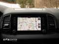 Skoda Karoq 2.0 TDI DSG Sportline 4x4 Grau - thumbnail 9
