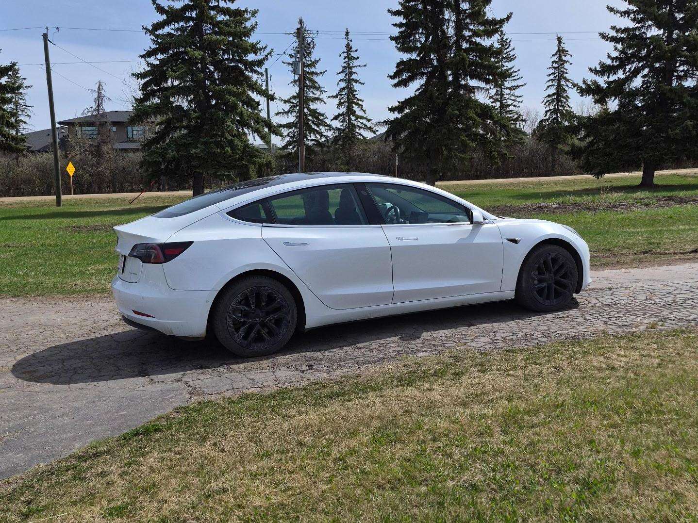 2019 Tesla Model 3 Long Range alt 4