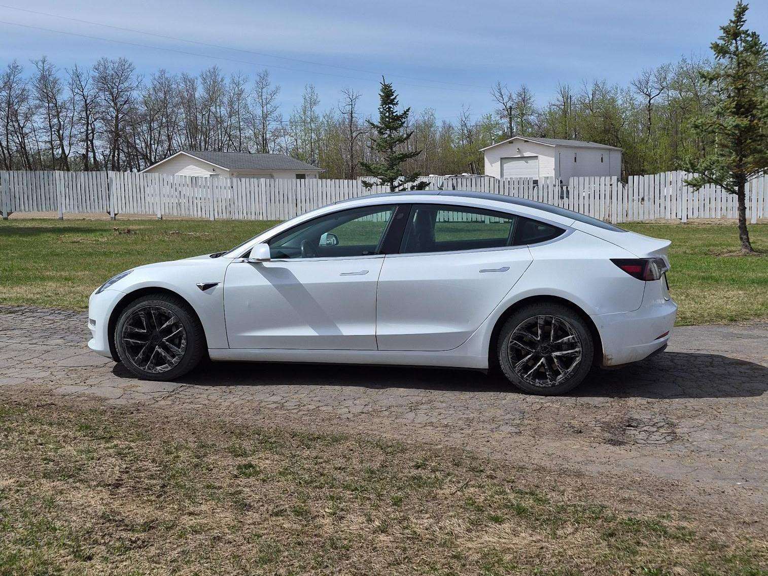 2019 Tesla Model 3 Long Range