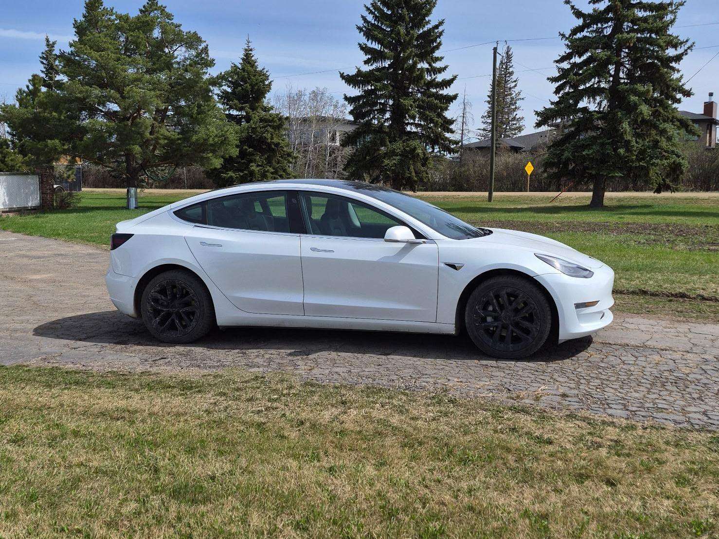 2019 Tesla Model 3 Long Range alt 5