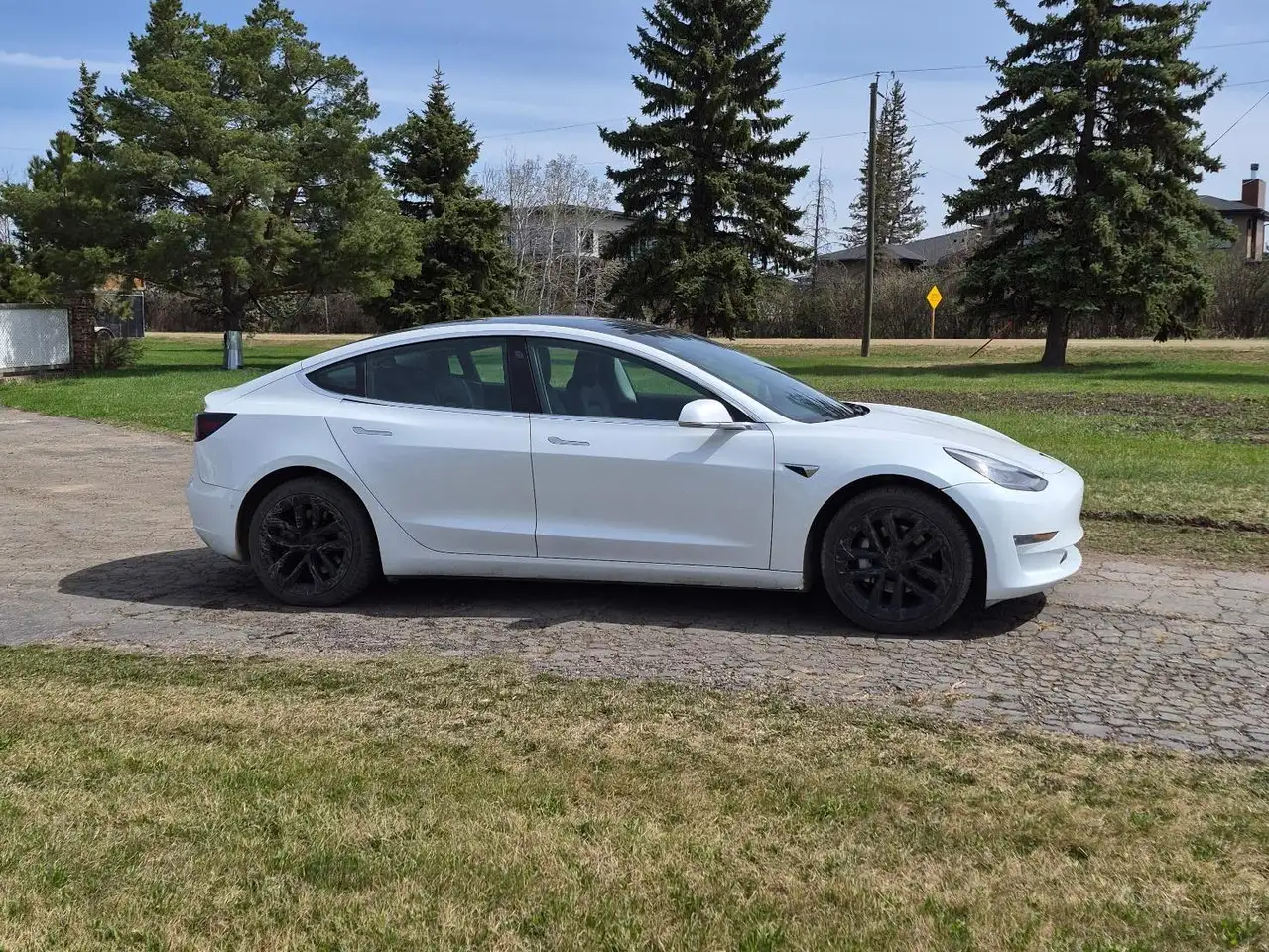 Tesla Model 3 photo Tesla Model 3