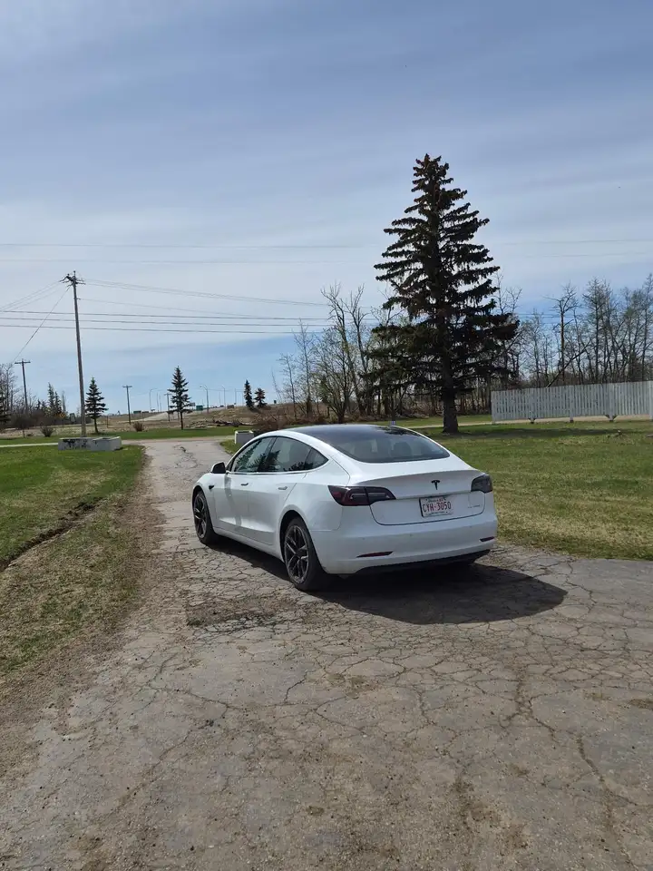 Tesla Model 3 photo Tesla Model 3