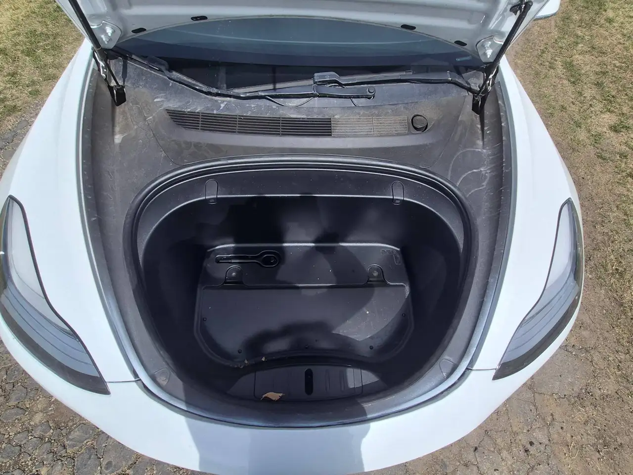 Tesla Model 3 photo Tesla Model 3