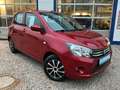 Suzuki Celerio **wgKM**Klima**So/Wi-Räder**5-türig Rot - thumbnail 1