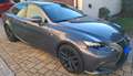 Lexus IS 300 IS 300h 2.5 F-Sport cvt Szary - thumbnail 4