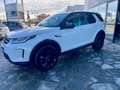 Land Rover Discovery Sport Mhev 163cv HSE / 7 Posti / Tetto panorama Bianco - thumbnail 3