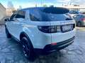 Land Rover Discovery Sport Mhev 163cv HSE / 7 Posti / Tetto panorama Blanc - thumbnail 4