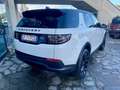 Land Rover Discovery Sport Mhev 163cv HSE / 7 Posti / Tetto panorama Blanc - thumbnail 5