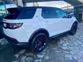 Land Rover Discovery Sport Mhev 163cv HSE / 7 Posti / Tetto panorama Blanc - thumbnail 6