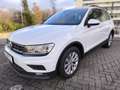 Volkswagen Tiguan Comfortline BMT/Start-Stopp 4Motion Weiß - thumbnail 1