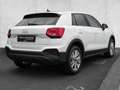 Audi Q2 30 TFSI Schaltgetriebe 2xKLIMA AUT EL.HECK LM Weiß - thumbnail 5