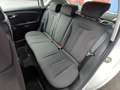 SEAT Leon 1.6TDI CR Reference Copa Blanco - thumbnail 12