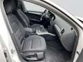 Audi A4 Avant Attraction 2.0 TDI DPF ZAHNRIEMEN NEU Navi B Weiß - thumbnail 16