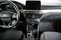 Ford Focus 2.0 EcoBlue Titanium Start/Stopp Pickerl NEU Blau - thumbnail 13