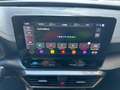 CUPRA Formentor 2.0 tdi 4drive 150cv dsg Grigio - thumbnail 15