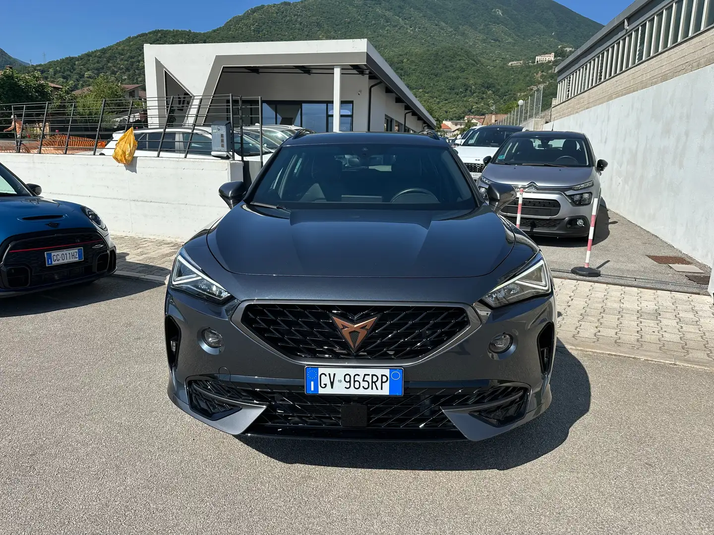CUPRA Formentor 2.0 tdi 4drive 150cv dsg Grigio - 2